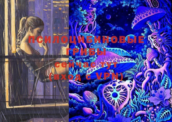 ГАЛЛЮЦИНОГЕННЫЕ ГРИБЫ Нягань