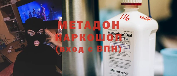 сатива Новозыбков