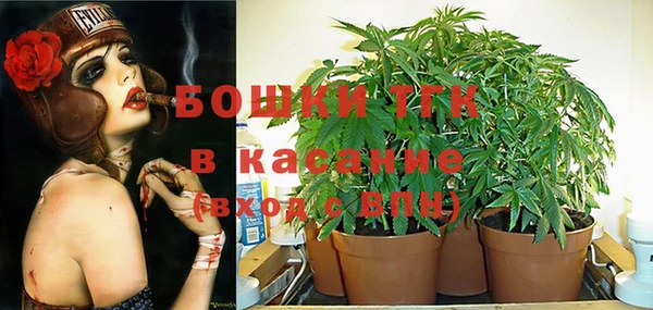 ECSTASY Нязепетровск