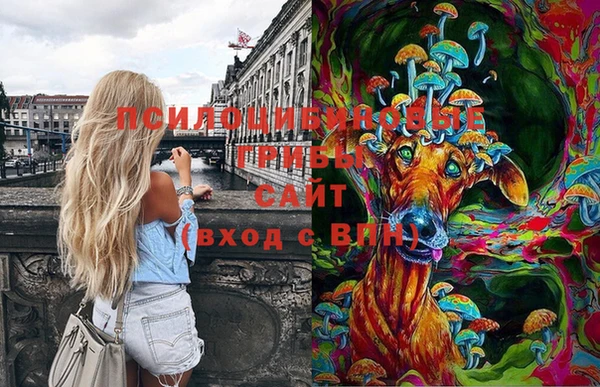 ГАЛЛЮЦИНОГЕННЫЕ ГРИБЫ Нягань