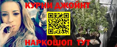 стафф Аргун