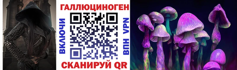 купить закладку Кохма Псилоцибиновые грибы прущие грибы