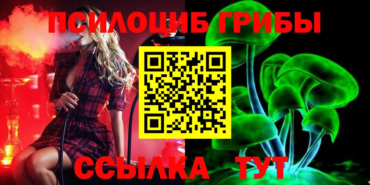 Галлюциногенные грибы Psilocybe  Вход с VPN  магазин  наркотиков  Кохма 