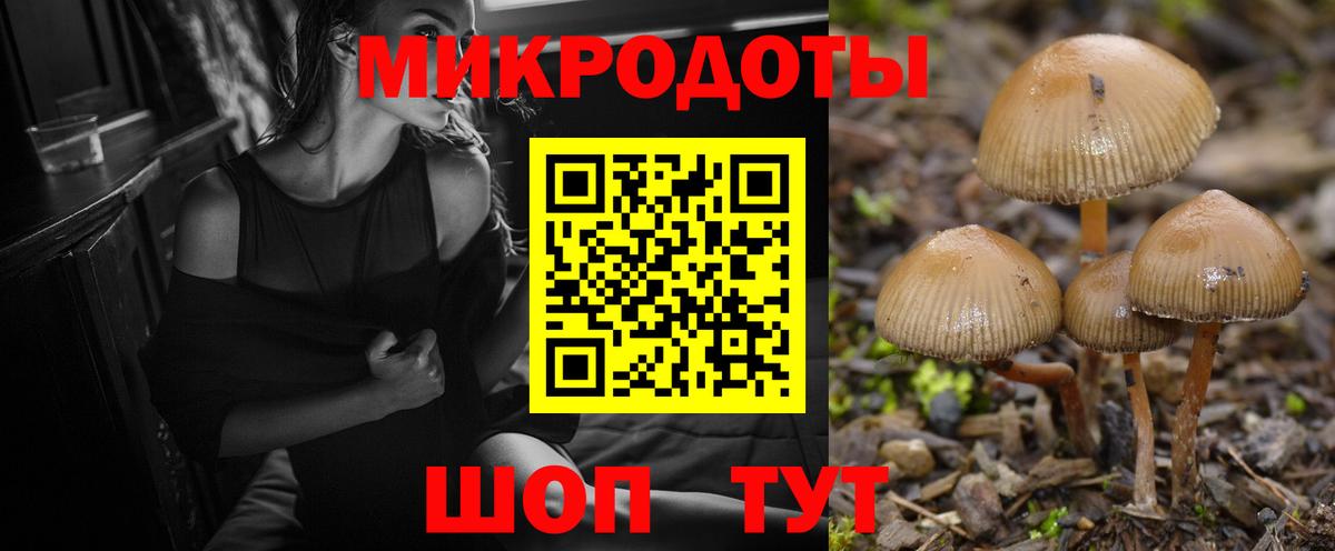 Псилоцибиновые грибы MAGIC MUSHROOMS Кохма