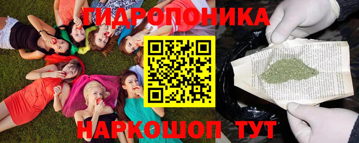 Марихуана Amnesia  Кохма  Конопля Ganja 